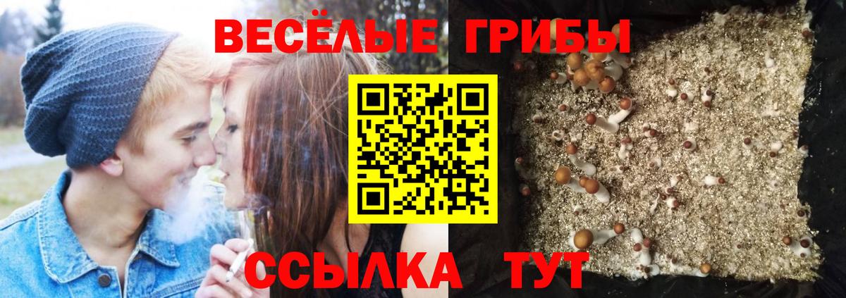 КОКАИН Лесозаводск