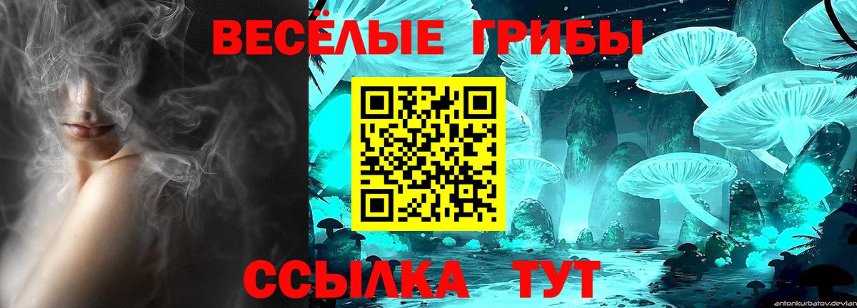 Галлюциногенные грибы ЛСД Лесозаводск